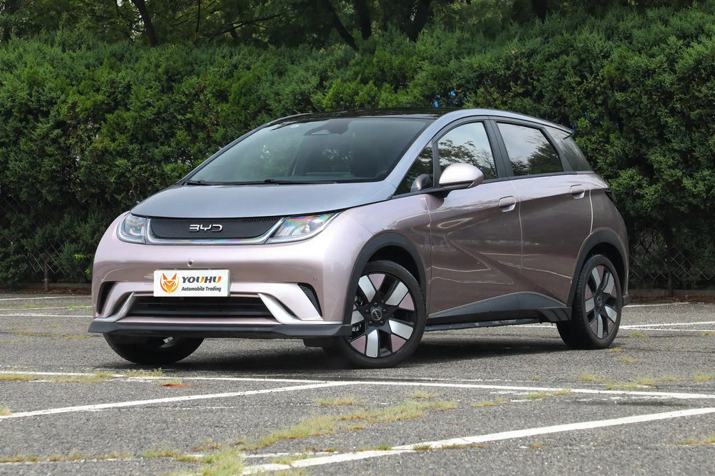 BYD Dolphin Mini price and specs 2025 Smart Driving Edition 520KM