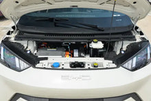 Load image into Gallery viewer, BYD Seagull