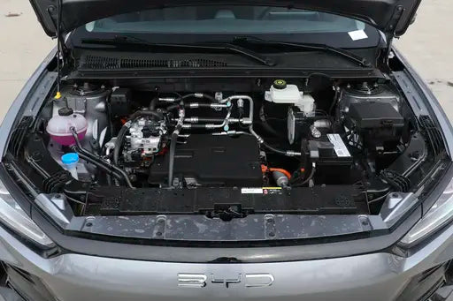 BYD e2