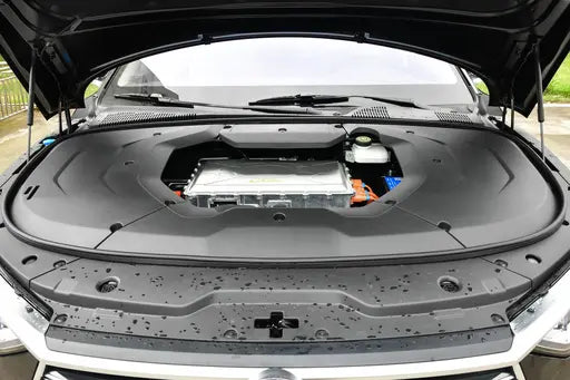 BYD e9
